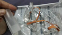 鱼跃（Yuwell）雾化器雾化机儿童成人老人家用医用压缩雾化器403M国家补贴 实拍图