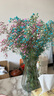 爱满（AIMAN）满天星天然干花花束ins网红生日 新房装饰摆件风干真插花家居摆设 蓝粉混满天星  【不带花瓶】 实拍图