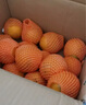 秭归脐橙中华红血橙 当季新鲜水果湖北甜橙手剥橙 9斤（果径≥65mm） 实拍图