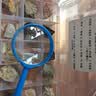 舜江 矿物岩石标本 花岗岩砂岩岩盐云母薄片长石石英有小孔的岩石有条纹的岩石 15种塑料盒装+放大镜 实拍图