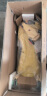 babycare扭扭车 溜溜车 宝宝摇摆车男女 儿童平衡车3岁以上 静音轮 【21声光音乐款】洛克黄 实拍图