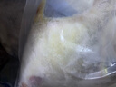 美加佳大号三去小章鱼净重800g 去脏去牙八爪鱼 国产海鲜 海鲜水产 实拍图