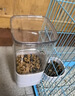 HELLOJOY宠物挂式自动喂食器猫咪悬挂式猫粮喂猫器挂笼食盆狗投喂狗狗喂食 实拍图