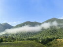 珍珠皇后敬爱 S925银正圆强光泽白色淡水珍珠项链送妈妈礼盒款母亲节礼物 实拍图