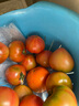 京地达山东铁皮草莓西红柿 净重4斤  水果番茄蔬菜源头直发包邮 实拍图