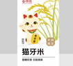 京觅猫牙米 长粒香大米 丝苗米 南方籼米 体验装 3斤装 实拍图