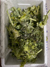 新鲜羽衣甘蓝时令西餐沙拉榨汁果汁健康轻食农家甘蓝 【寿光直发】净重3斤 实拍图