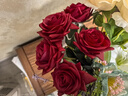 爱已装糖 奶油风假花仿真花高档手感保湿玫瑰花客厅摆件装饰花 红色5支 实拍图