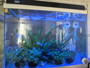 森森（SUNSUN）鱼缸水族箱客厅家用生态桌面金鱼缸免换水懒人鱼缸一体缸自循环 HE-600内置棉和滤材（物流发货） 实拍图