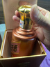茅台（MOUTAI）王子酒 酱香经典（2.0）酱香型白酒 53度 500ml 单瓶装 实拍图