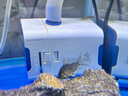 森森（SUNSUN）鱼缸水泵小型潜水泵水循环水族箱过滤泵抽水泵 【升级可底吸】15W流量可调 带水管 实拍图