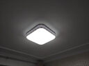 洛林（ROLin）led吸顶灯灯芯灯带磁吸灯板改造替换光源led灯条410双排白光12W 实拍图