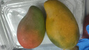 京鲜生海南小台农芒果 净重3斤 单果70g+ 新鲜水果 源头直发 实拍图