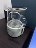 小熊（Bear）迷你养生壶养生杯 电炖杯电热杯煮花茶壶烧水壶办公室杯子0.4L全玻璃杯体YSH-F04E1 实拍图