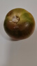 京鲜生 山东铁皮草莓西红柿 净重4.5斤 单果60-150g水果番茄源头直发 实拍图