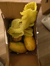 京喜加新鲜黄心土豆农家自种黄皮马铃薯黄心洋芋新鲜蔬菜 2斤 实拍图