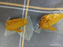 王小焗盐焗鸡翅广东梅州客家特产盐局土鸡翅网红休闲小吃零食熟食 盐焗鸡翅100g【独立小包装】 实拍图