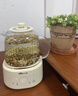 小熊（Bear）全玻璃壶体养生壶恒温壶 办公室多功能煮茶壶花茶壶 0金属养生杯 24h预约24h保温 1L YSH-P10Q7 实拍图