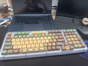 罗技（Logitech）K98M客制化机械键盘 无线蓝牙键盘双模mac ipad键盘98键电脑电竞游戏办公键盘AI 热插拔 K98M蓝紫色-卡皮巴拉 实拍图