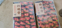 茗杰铁观音 2025新茶叶 正宗安溪高山新茶清香型兰花香 独立包装500g 实拍图