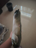 babycare山茶花婴儿纸尿裤试用装M码*3片(6-11kg)花苞轻柔尿不湿透气 实拍图