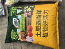 漫生活650g*3块椰糠砖椰砖椰土砖营养土通用种菜养花土壤花卉绿植脱盐 实拍图