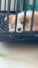 北鼻狗【升级全管加强 】狗笼中型犬大型犬狗笼子宠物狗狗笼子金毛用品 升级四面全管底部加强 黑色 110*75*90CM 建议100斤内 实拍图