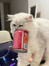麦德氏IN高钙低敏配方羊奶粉300g宠物羊奶粉狗狗猫咪幼犬幼猫羊奶粉 实拍图