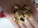 卡乐比（Calbee）即食燕麦片 原味水果麦片600g 日本进口非油炸 营养早餐冲泡即食 实拍图