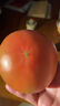 古寨山普罗旺斯西红柿沙瓤生吃番茄新鲜蔬菜 净重4.5斤 实拍图