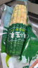 京鲜生 西双版纳香糯小玉米 净重4斤 礼盒装 低脂粗粮 多种包装随机发货 实拍图