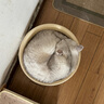 洁客(Drymax)专享款低尘除臭膨润土猫砂省量高效结团猫砂8kg 实拍图