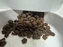 BOTH 猫粮10kg 益生菌鱼肉鸭肉 全价通用 成猫幼猫猫粮 20斤 实拍图