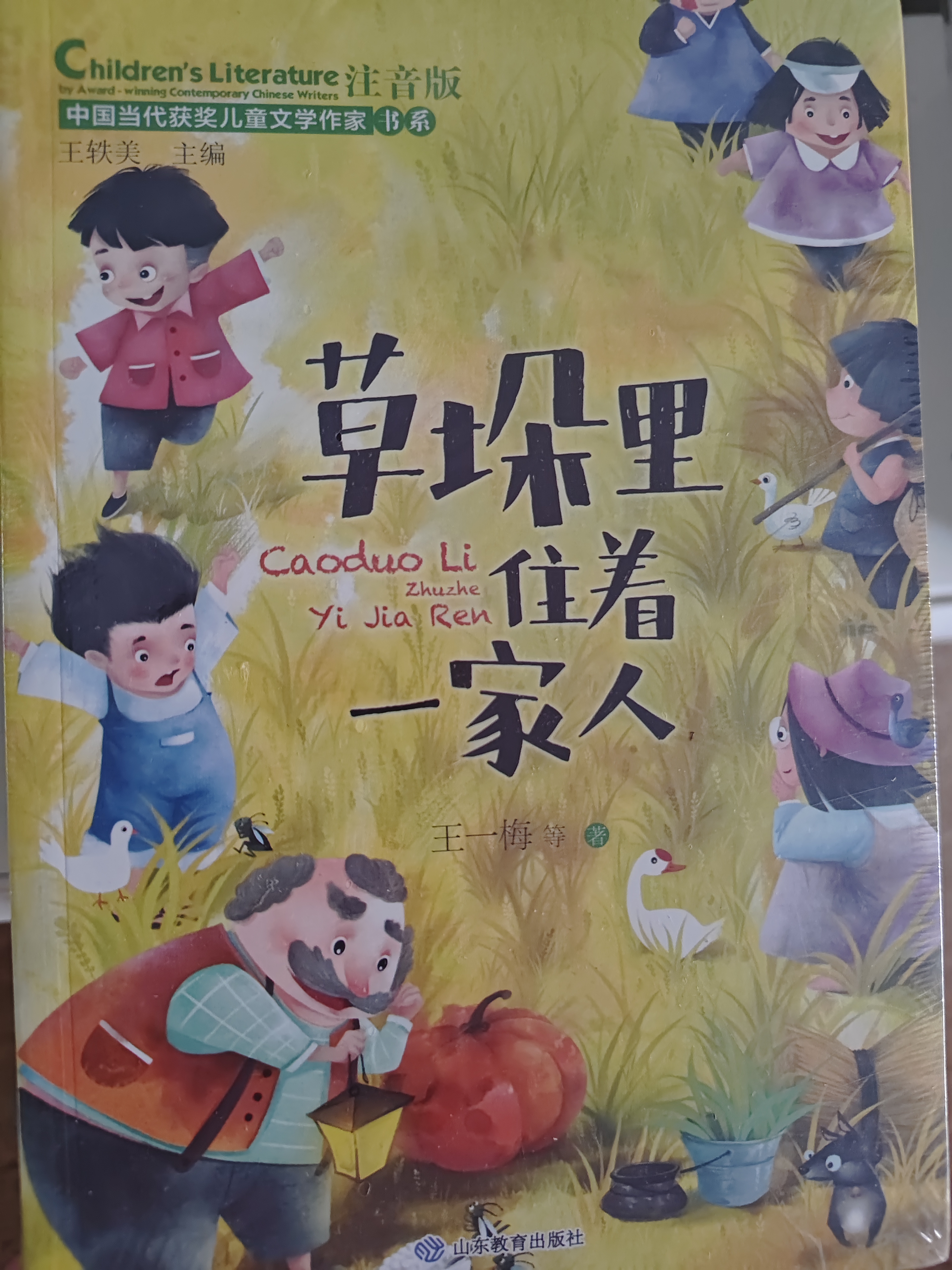 当当【套装自选】 中国当代获奖儿童文学作家书系 全国优秀文学获奖作家书系 王一梅 高洪波 安武林 董宏猷等著 文学 小学生一二三四五六年级课外阅读书籍7-14岁 当代获奖儿童文学第二辑（10册）塑封版 实拍图