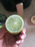 广东香水柠檬生鲜水果一级果无籽香柠青柠现摘现发带箱发货包邮 【2斤】单果50-65g 带箱发货 实拍图