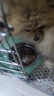 爱丽友无谷狗粮幼犬粮成犬小型犬全价无谷冻干狗粮营养增肥 无谷狗粮50克*10袋【共500克】 实拍图