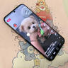 菲尔克【秒贴钢化膜】适用于魅族Note16/Pro钢化膜防窥膜MEIZU note16pro全屏高清防爆防摔手机保护贴膜 魅族Note16「高清款丨定位秒贴」2片装 实拍图