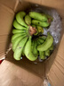 吉果叔 云南高山甜香蕉 新鲜水果当季现摘大芭蕉小米蕉甜香蕉整箱自然熟 9斤净重 8.5斤 实拍图