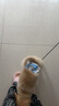 HONEYCARE好命家 狗狗纸尿裤公狗尿不湿安全裤 M适用体重6-10kg/12片3包装  实拍图