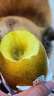 佳沛（zespri）新西兰 阳光金奇异果12粒礼盒特大果单果约122-146g 猕猴桃 水果 实拍图
