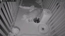 小佩智能自动喂食器SOLO白色 猫碗猫狗喂食器定时定量猫咪自动投食器 实拍图