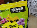 爱丽思（IRIS）营养土多肉土花土绿萝栽培土培养土有机花土大包通用 【黄金配比】月季花营养土50L 实拍图