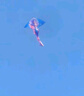 爸爸妈妈风筝儿童成人潍坊大型特大美人鱼风筝轮盘线轮高档亲子户外玩具 实拍图
