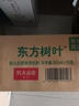 农夫山泉 东方树叶茉莉花茶500ml*15瓶 0糖0脂0卡无糖茶饮料 礼盒 实拍图