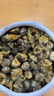 福茗源茶叶花草茶 菊花茶胎菊250g 无硫熏头采胎菊茶白菊花蕾泡水喝袋装 实拍图