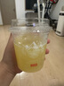 小熊（Bear）冰块模具制冰模具冰块神器冰格冰块储冰盒制冰盒 21格CX-JE037 实拍图