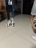 盈佳智能机器狗儿童玩具男孩女孩小孩婴幼儿编程早教机器人生日礼物 实拍图