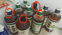 昆竹牌青梅酒 13度 450ml 本格梅酒梅子酒龙门特产果酒甜酒 单瓶装 实拍图