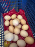 葛溪正太富硒鸡蛋新鲜无公害鲜  源头直发江西土鸡蛋散养礼盒柴鸡蛋 富硒鲜鸡蛋30枚*50g/枚 实拍图