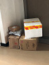 七匹狼皮带男士腰带自动扣牛皮裤腰带520情人节礼物送男朋友 实拍图